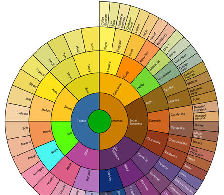Coffee Flavour Wheel