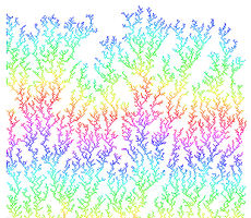 Diffusion-limited aggregation