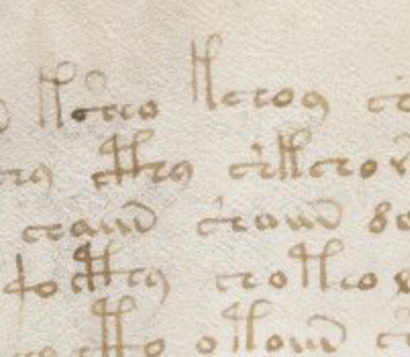 Voynich Manuscript Voyager