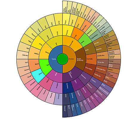 Coffee Flavour Wheel