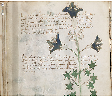 Voynich Manuscript Voyager